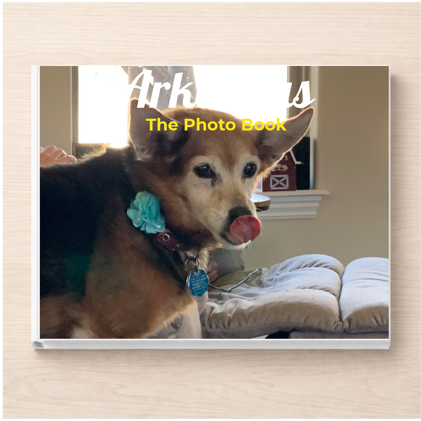 Arkansas: The Photo Book