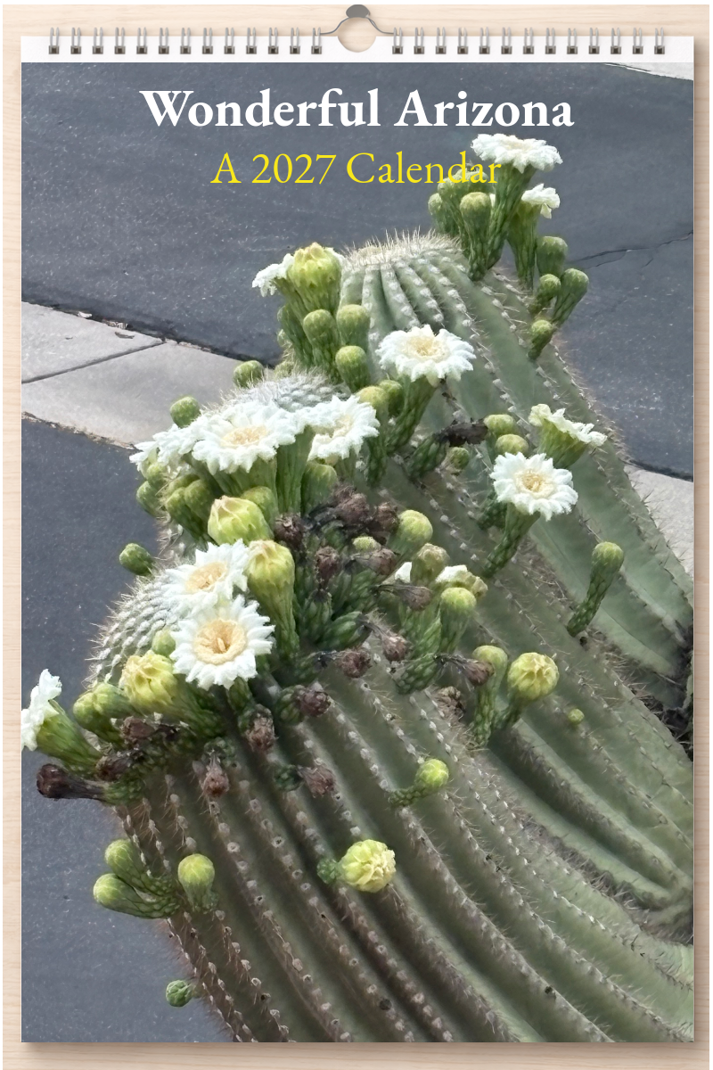 Wonderful Arizona: A 2027 Calendar