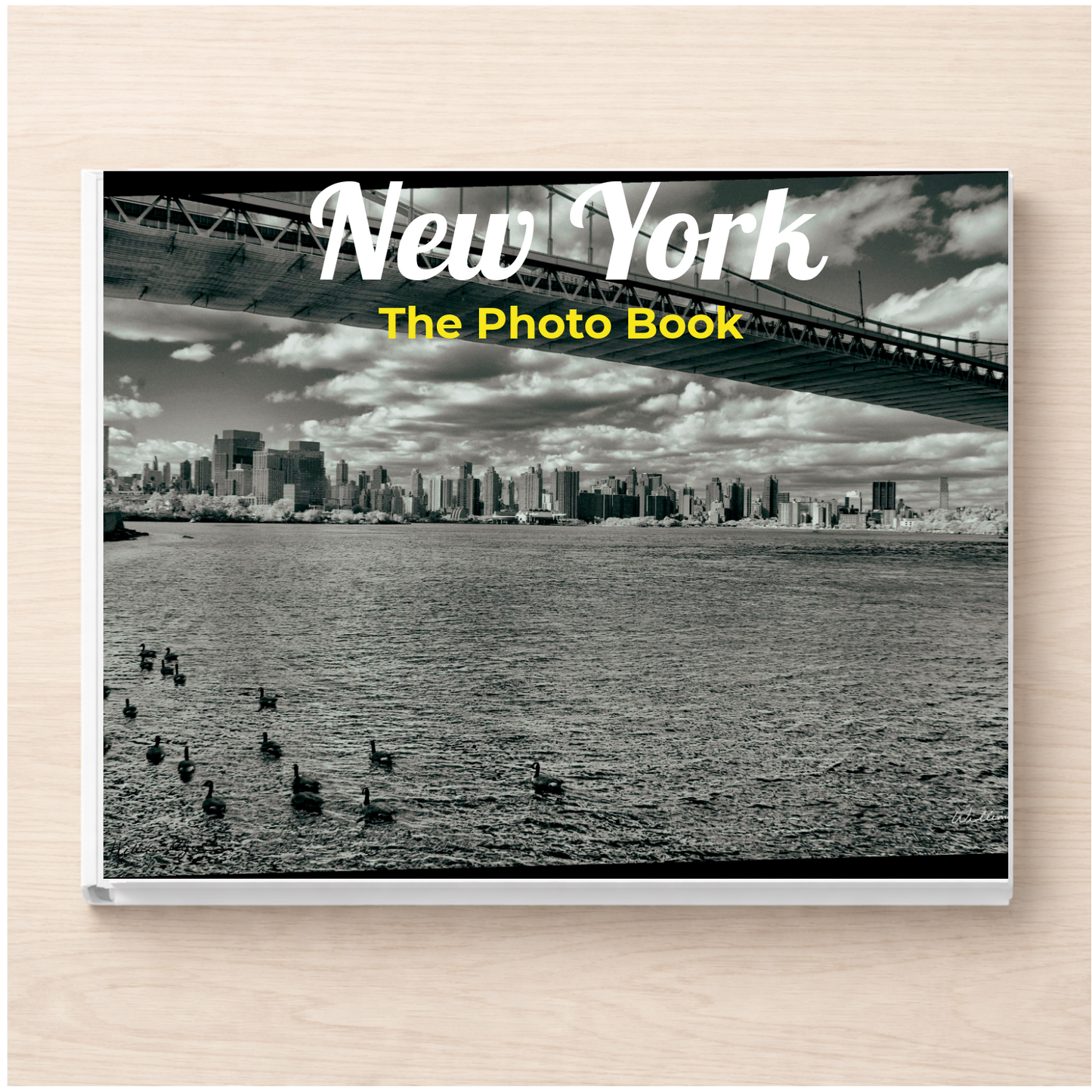 New York: The Photo Book