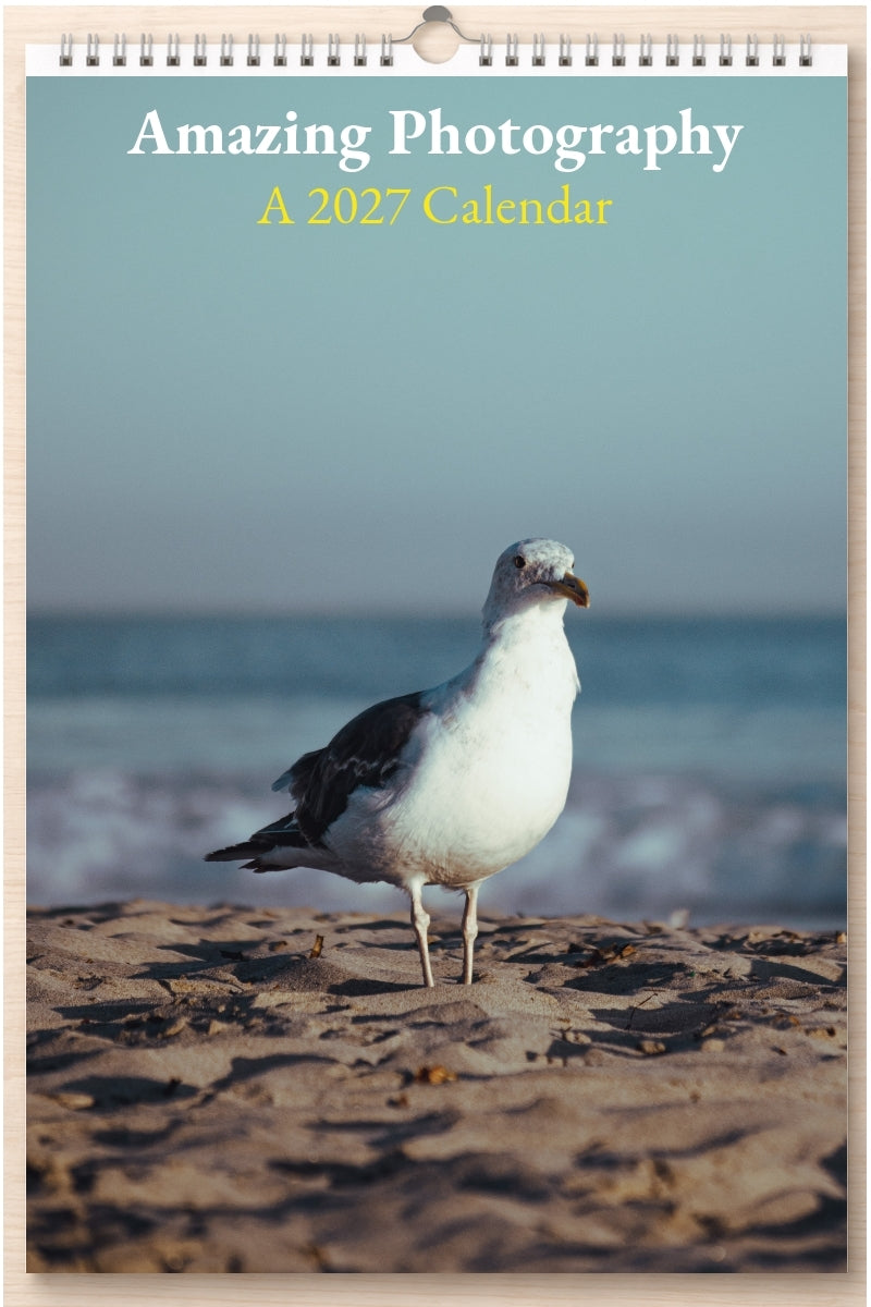 Amazing Photography: A 2027 Calendar