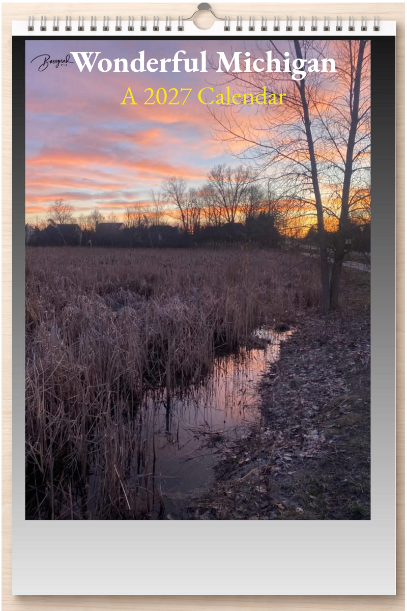 Wonderful Michigan: A 2027 Calendar