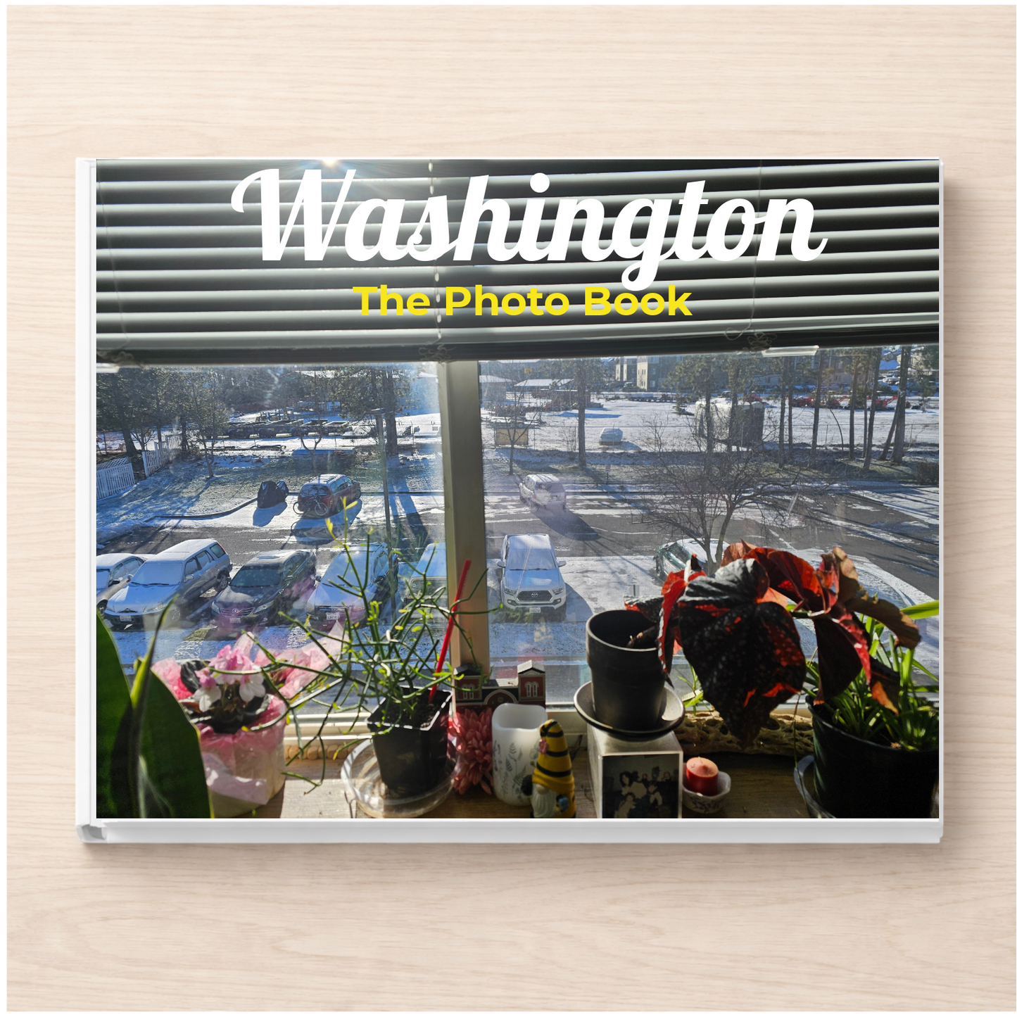 Washington: The Photo Book