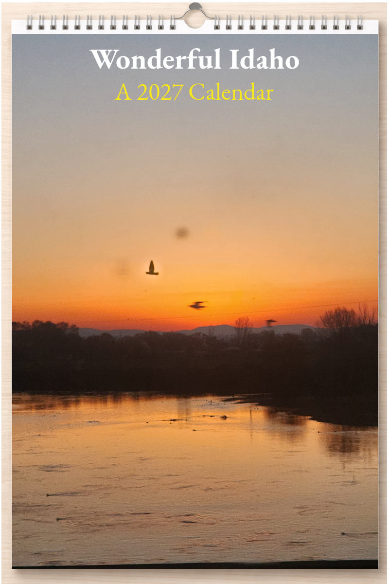 Wonderful Idaho: A 2027 Calendar