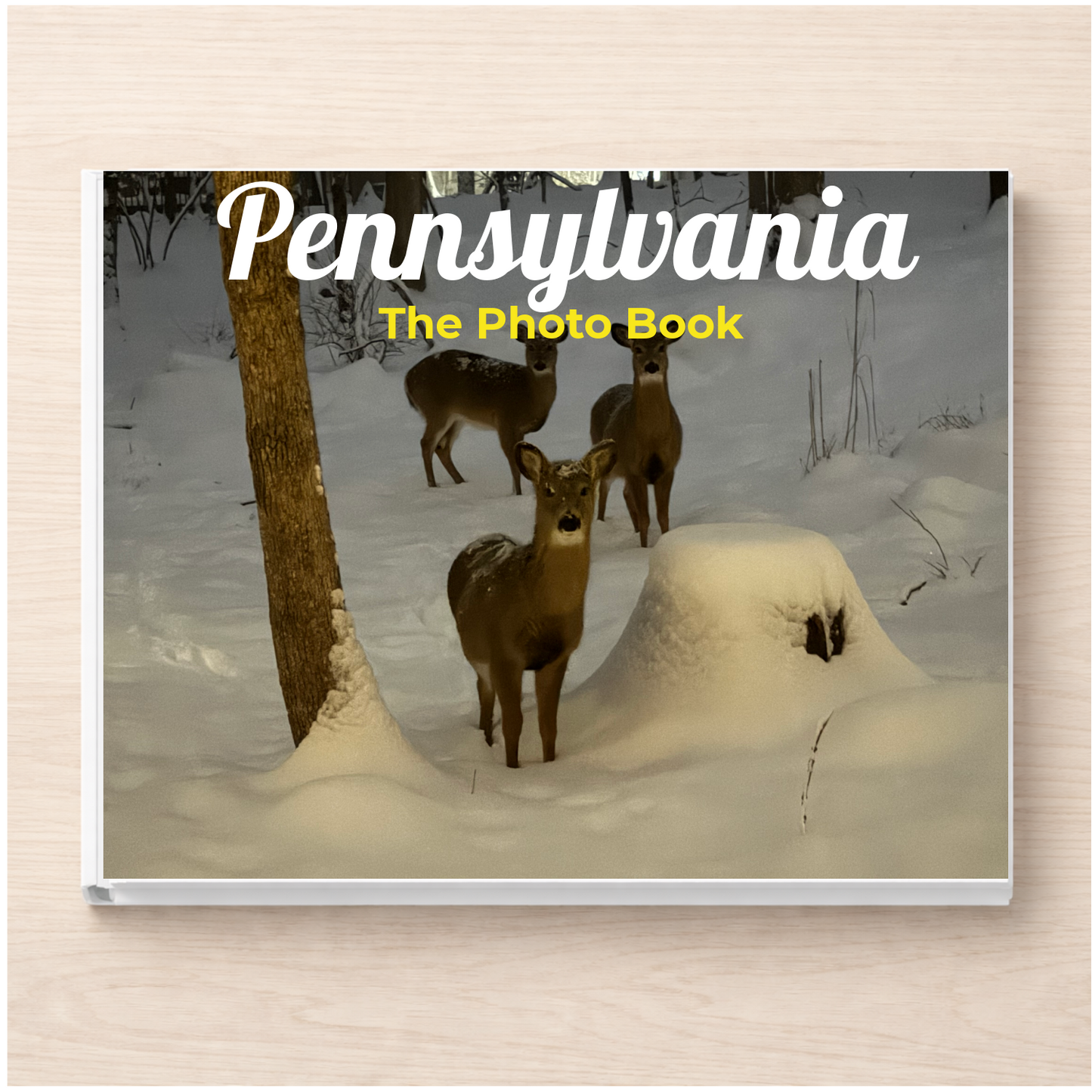 Pennsylvania: The Photo Book