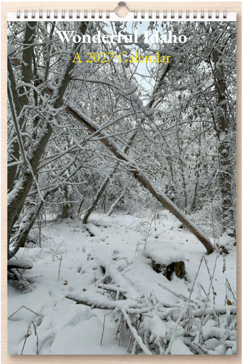Wonderful Idaho: A 2027 Calendar