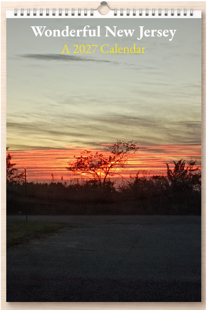 Wonderful New Jersey: A 2027 Calendar