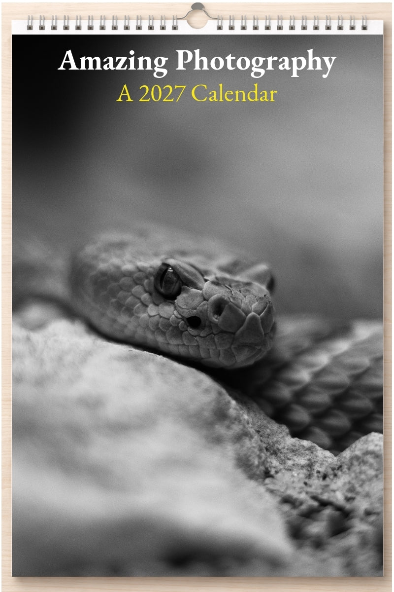 Amazing Photography: A 2027 Calendar