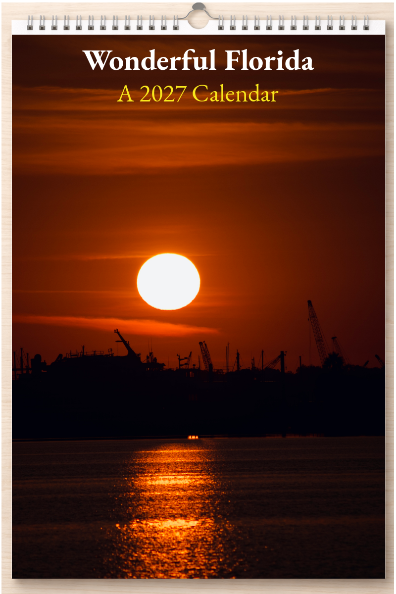 Wonderful Florida: A 2027 Calendar