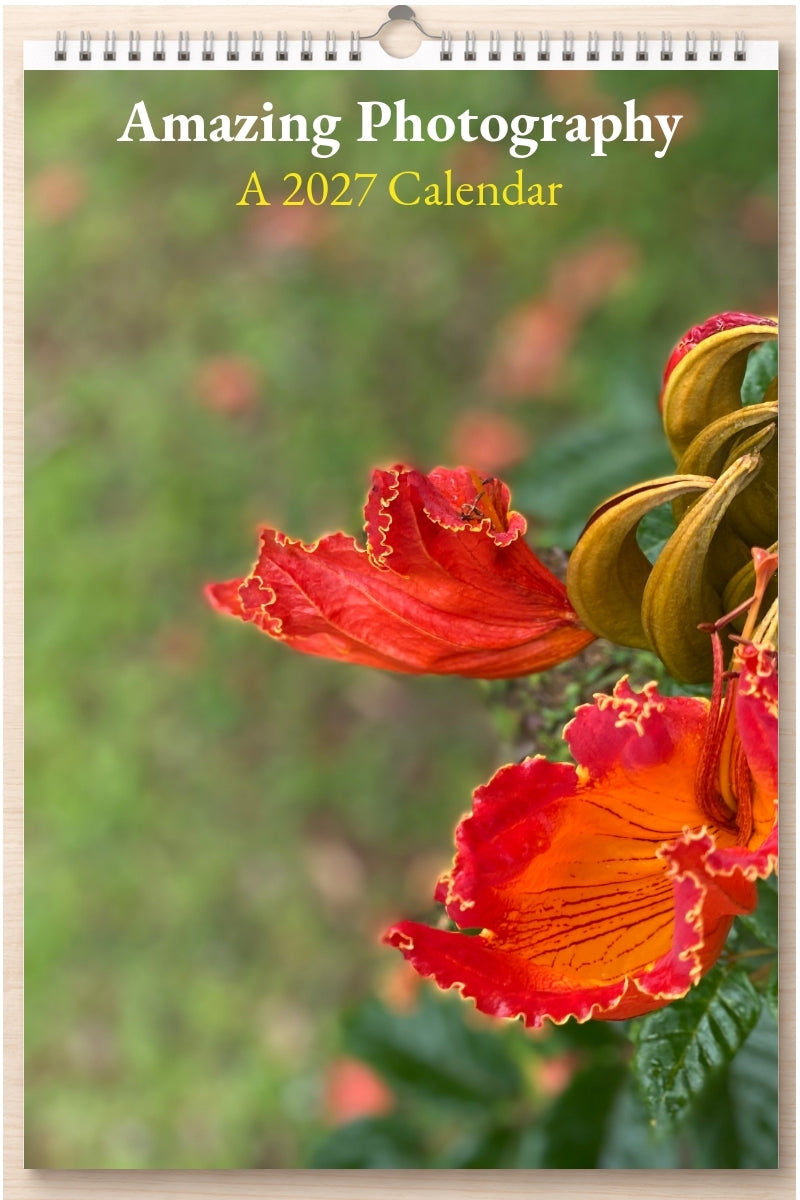 Amazing Photography: A 2027 Calendar