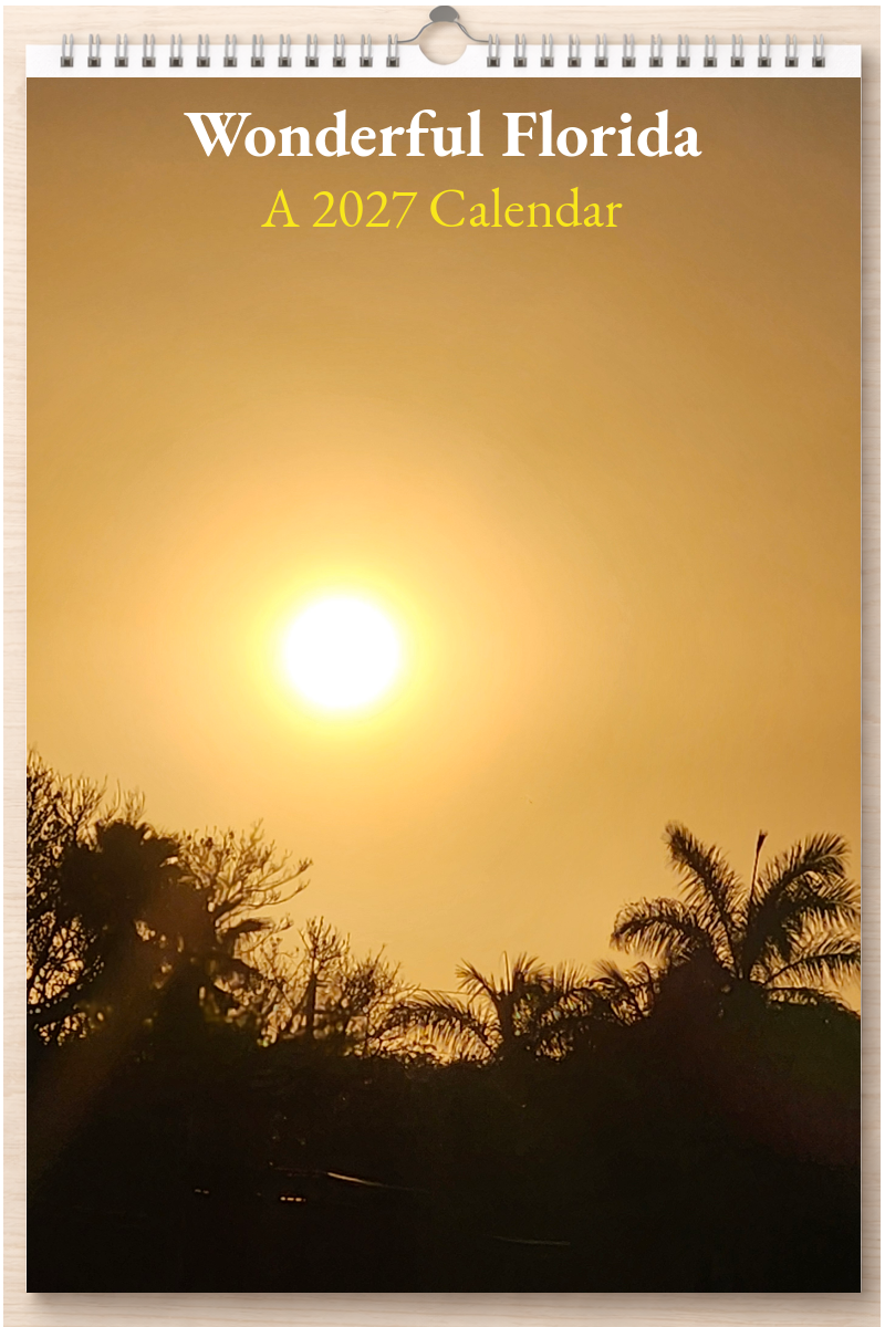 Wonderful Florida: A 2027 Calendar