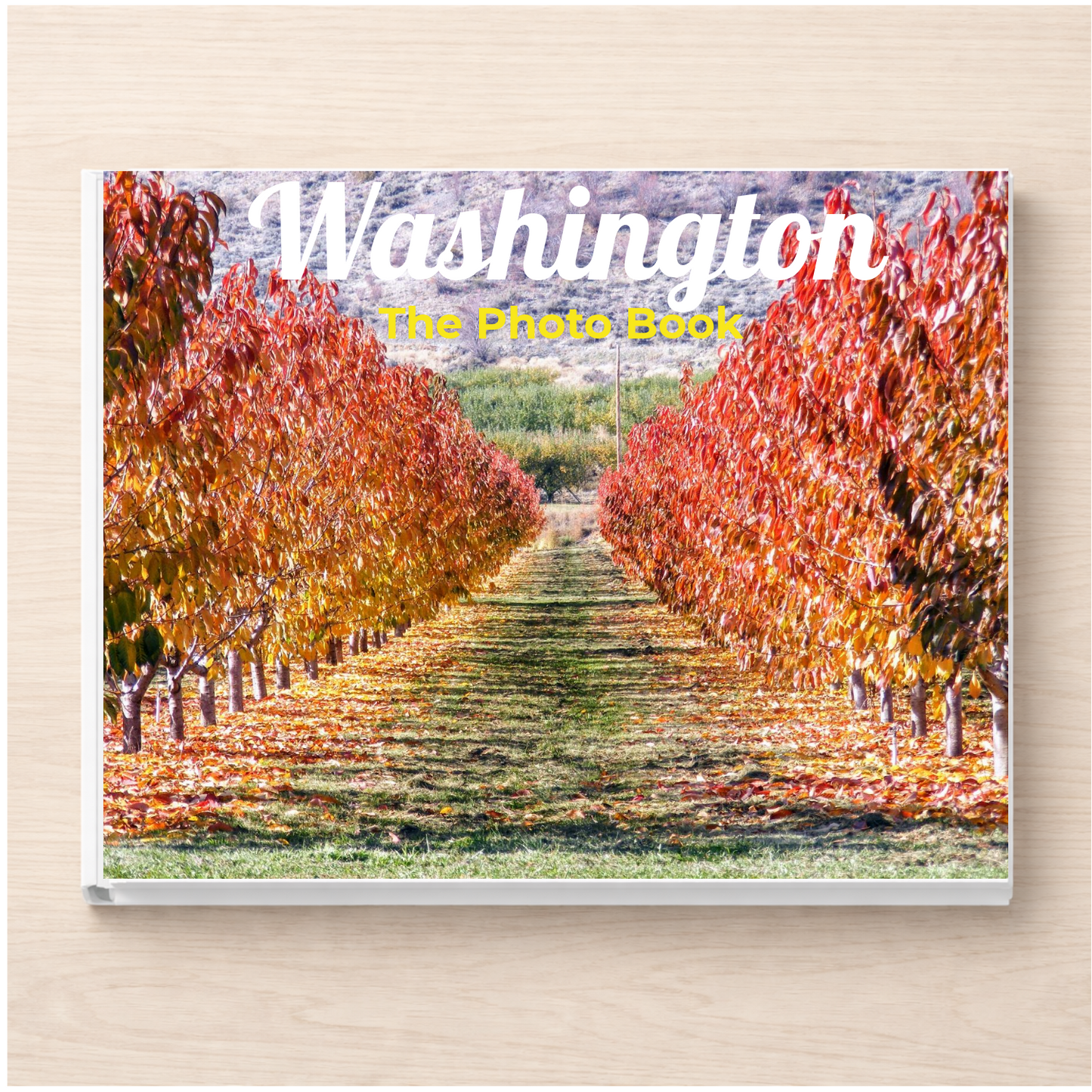 Washington: The Photo Book