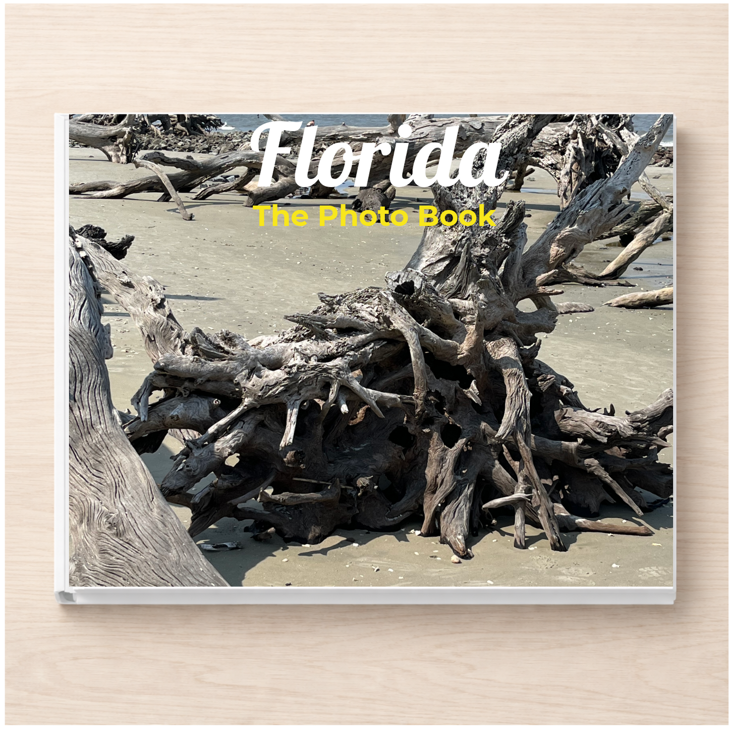 Florida: The Photo Book