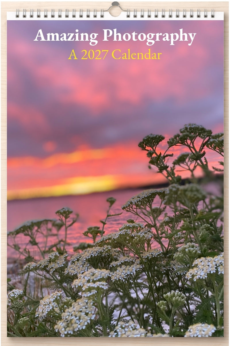 Amazing Photography: A 2027 Calendar
