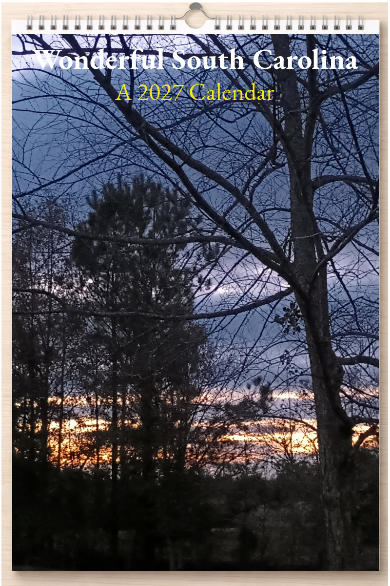 Wonderful South Carolina: A 2027 Calendar