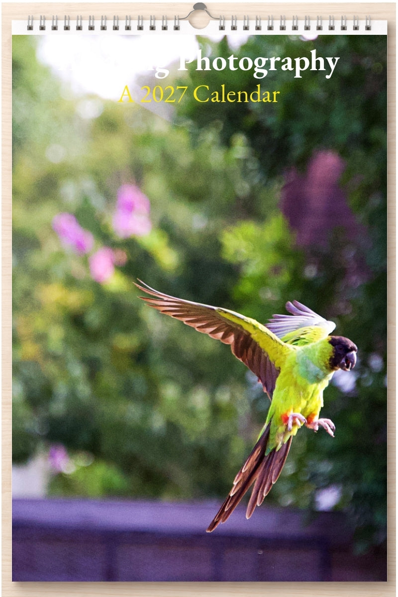 Amazing Photography: A 2027 Calendar