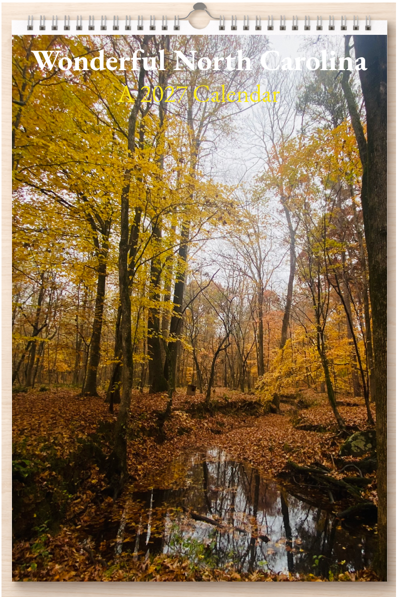 Wonderful North Carolina: A 2027 Calendar