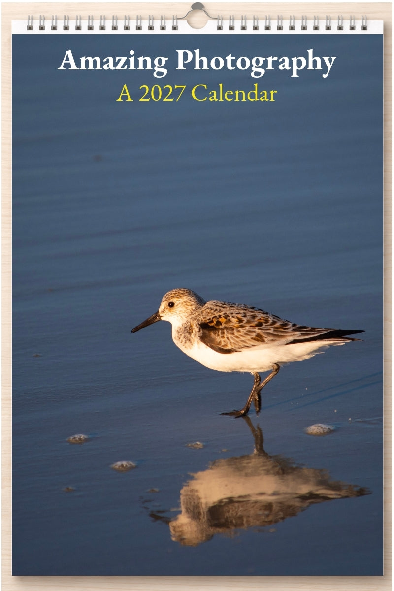 Amazing Photography: A 2027 Calendar