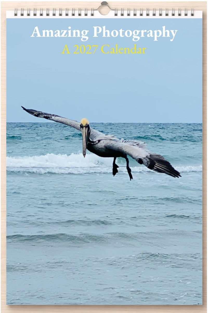 Amazing Photography: A 2027 Calendar