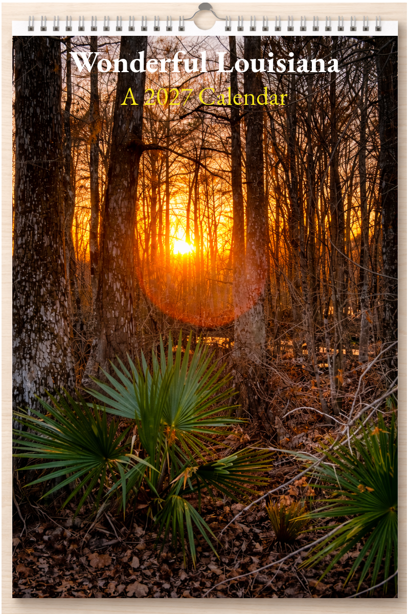 Wonderful Louisiana: A 2027 Calendar