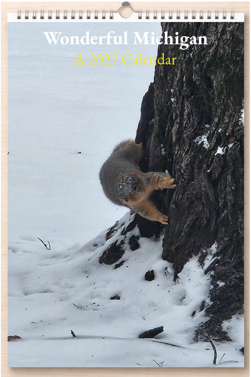 Wonderful Michigan: A 2027 Calendar