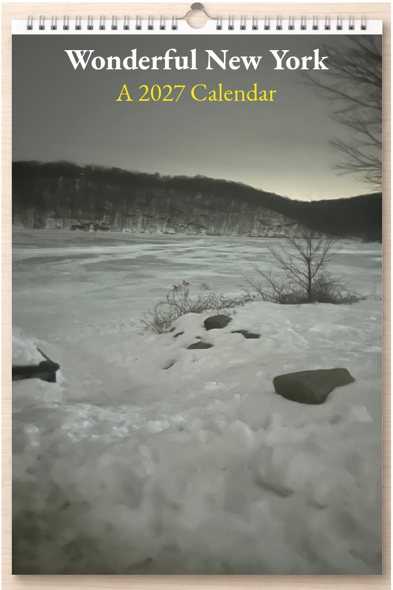 Wonderful New York: A 2027 Calendar