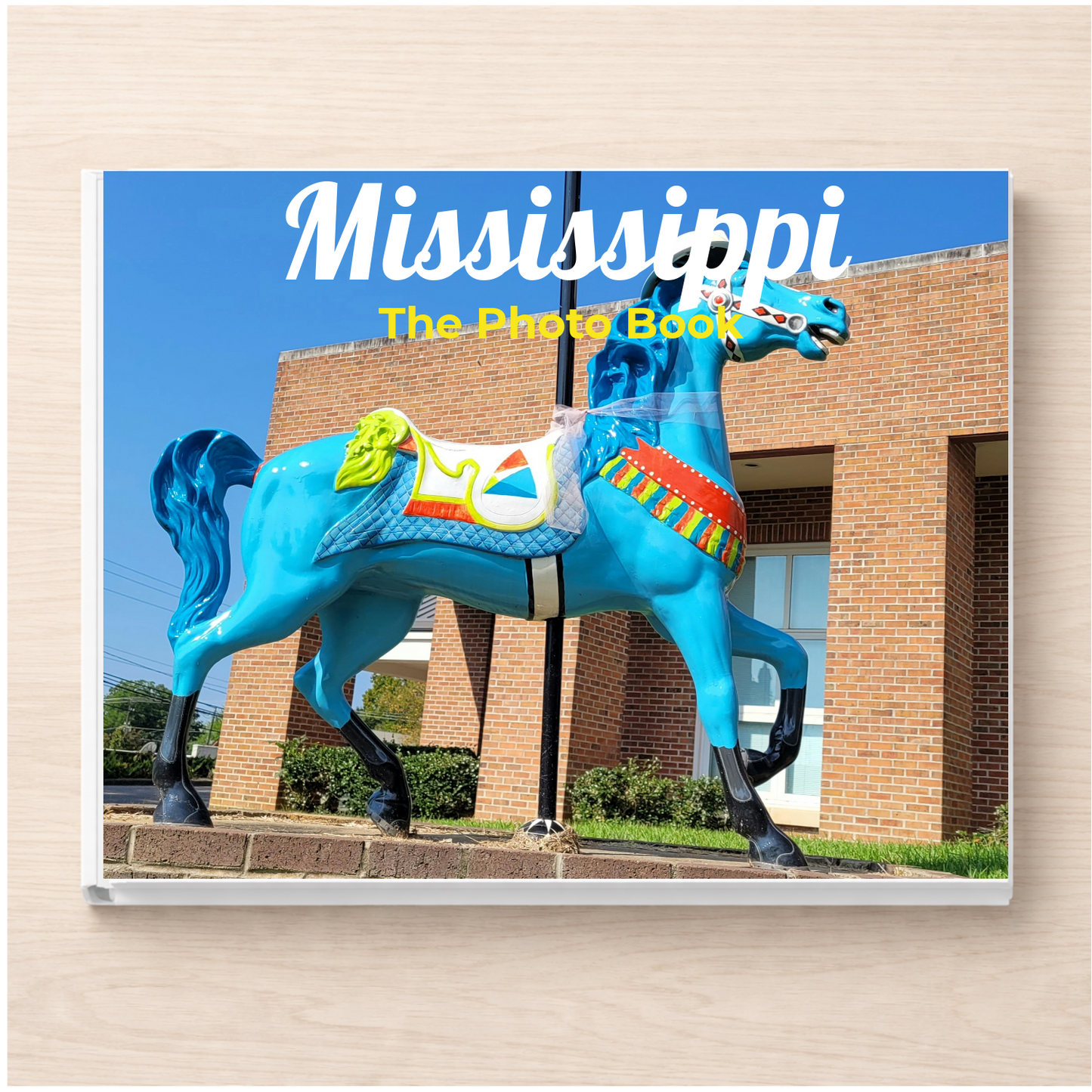 Mississippi: The Photo Book