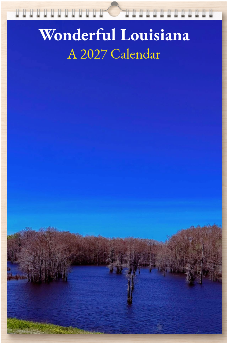 Wonderful Louisiana: A 2027 Calendar