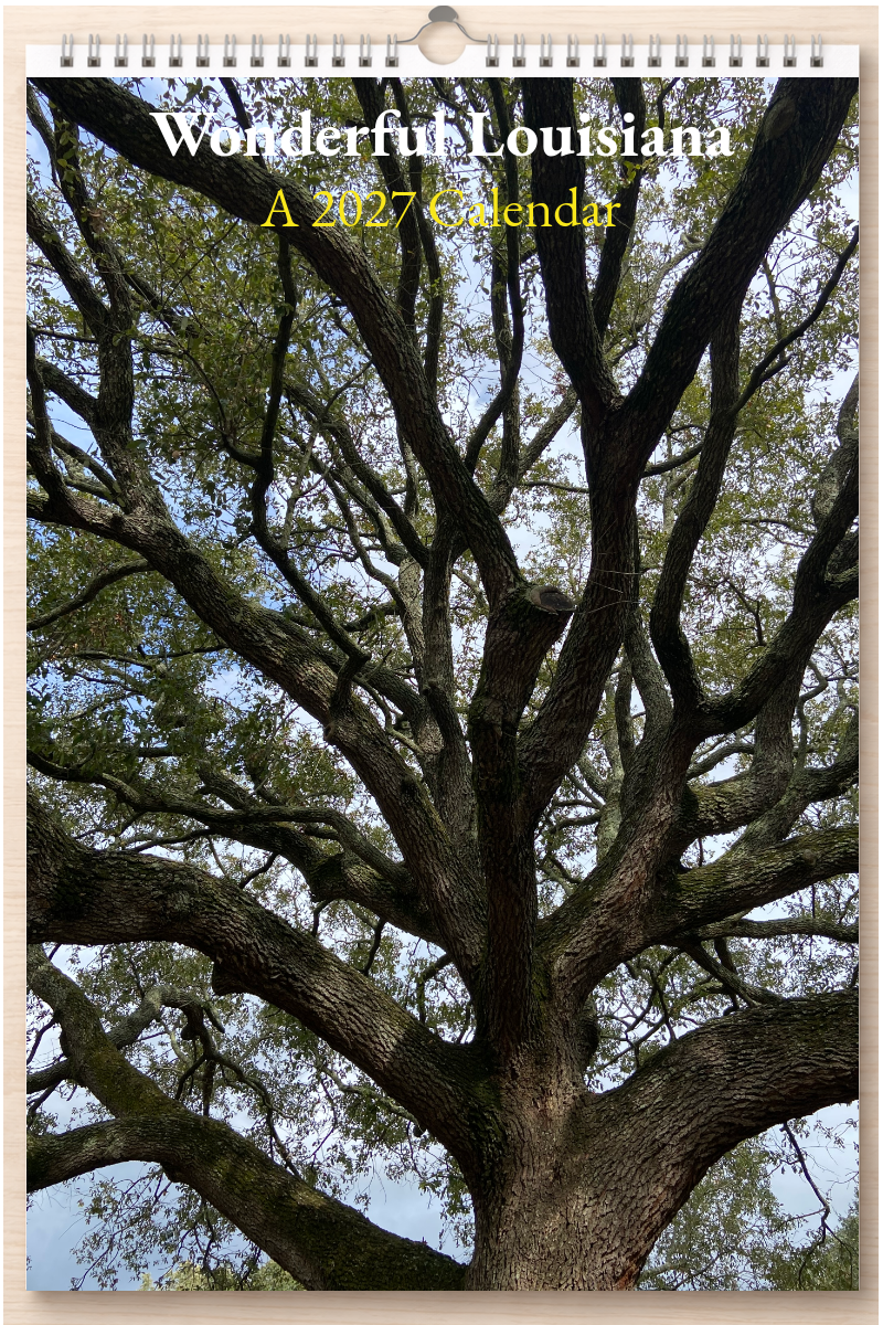 Wonderful Louisiana: A 2027 Calendar