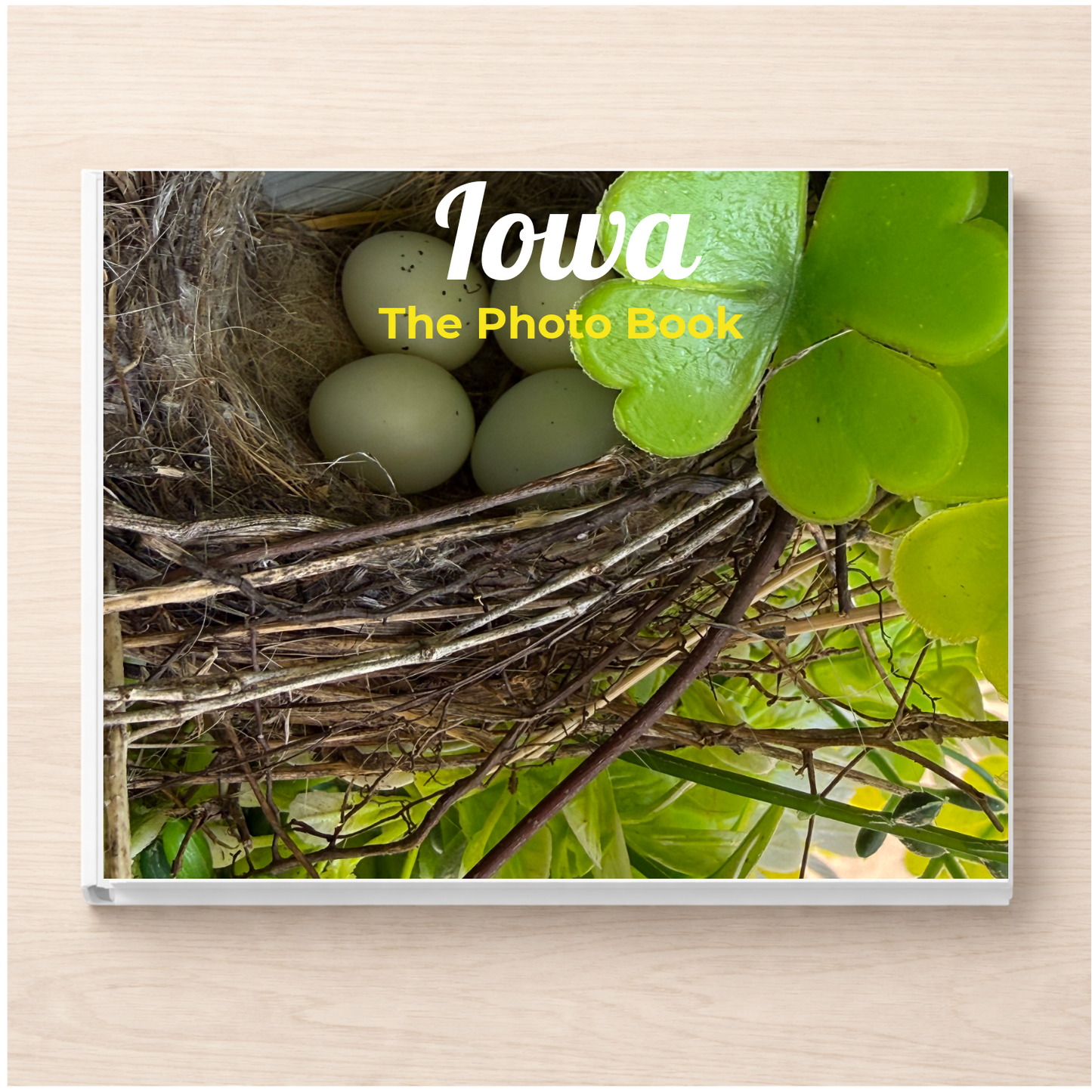 Iowa: The Photo Book