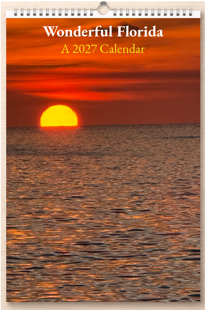 Wonderful Florida: A 2027 Calendar