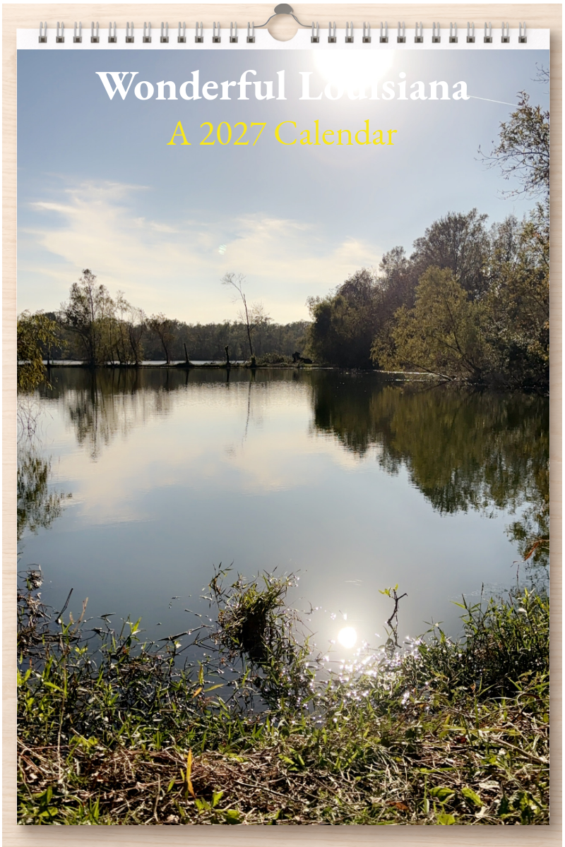 Wonderful Louisiana: A 2027 Calendar