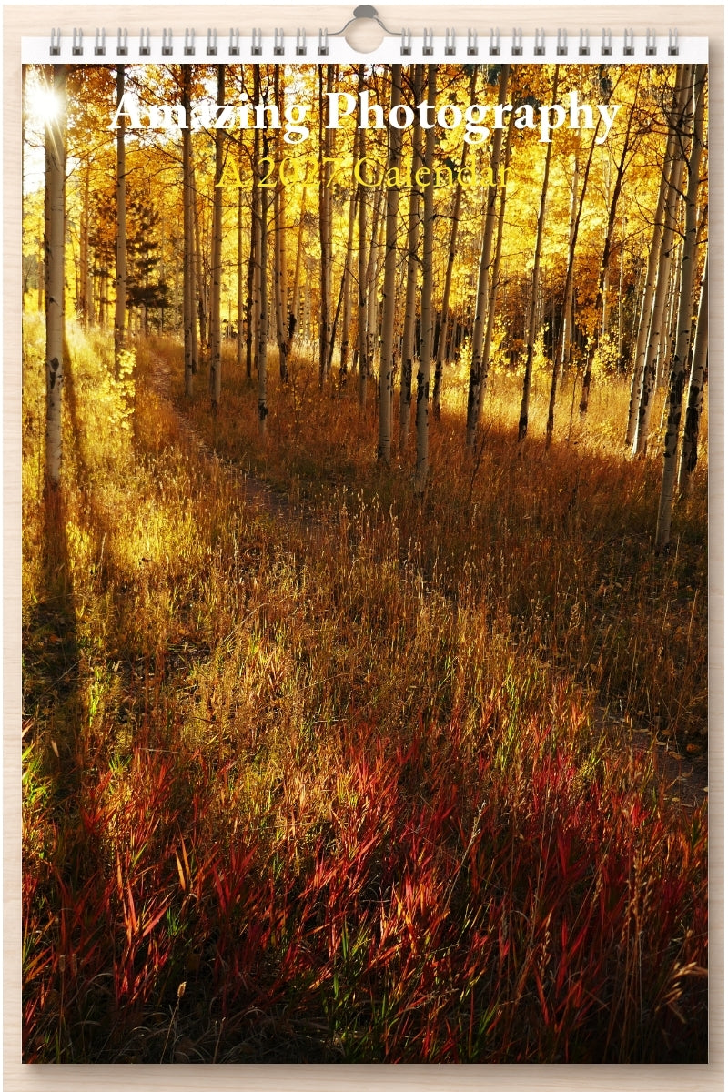 Amazing Photography: A 2027 Calendar