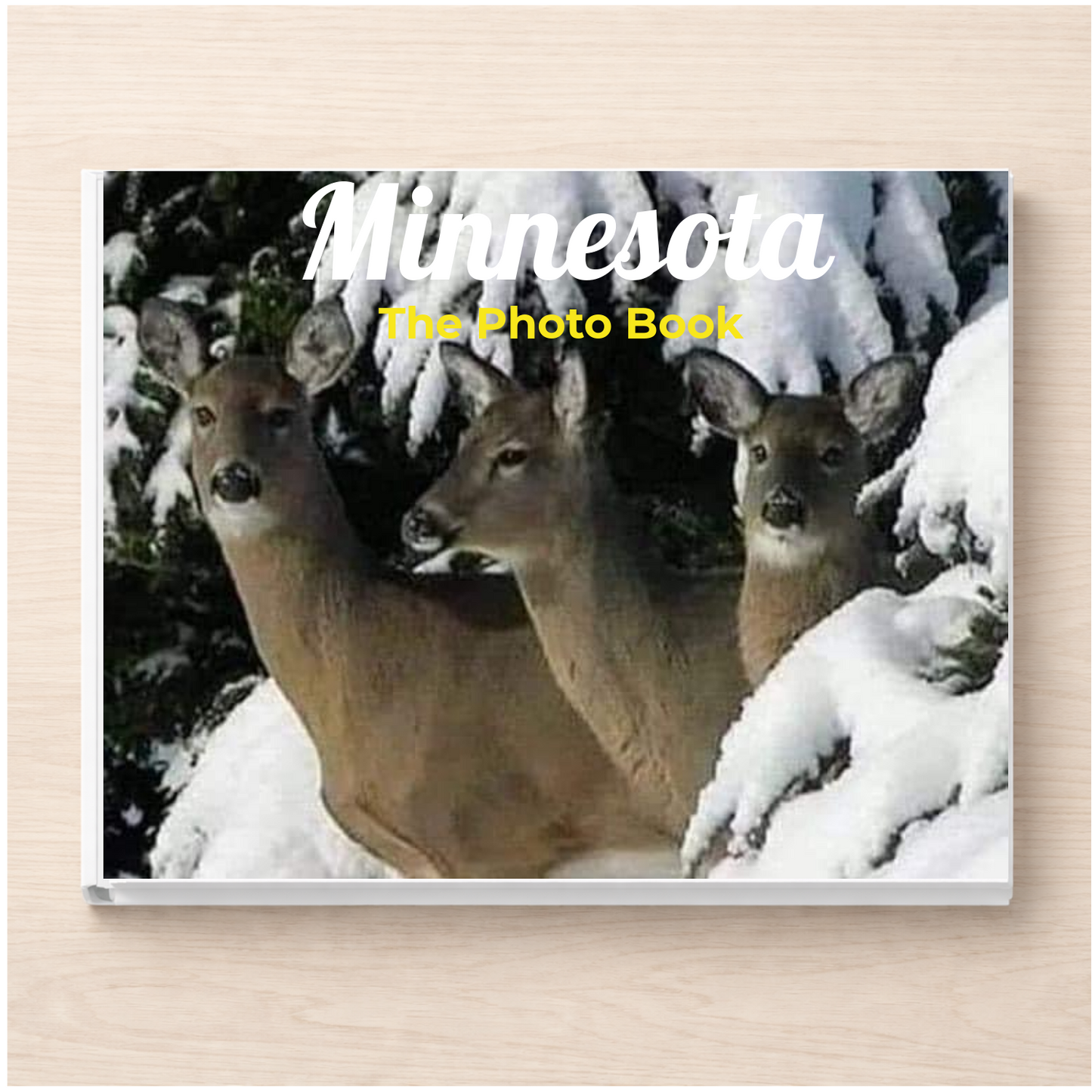 Minnesota: The Photo Book