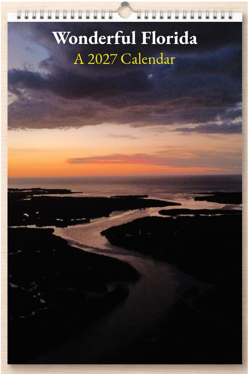 Wonderful Florida: A 2027 Calendar