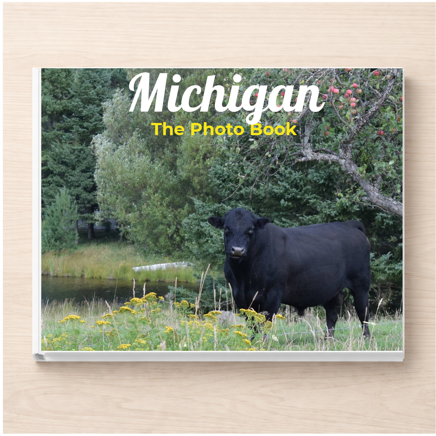Michigan: The Photo Book