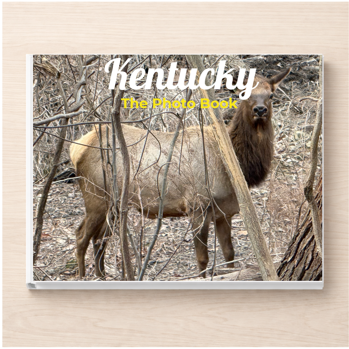 Kentucky: The Photo Book