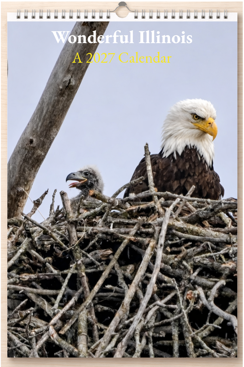 Wonderful Illinois: A 2027 Calendar
