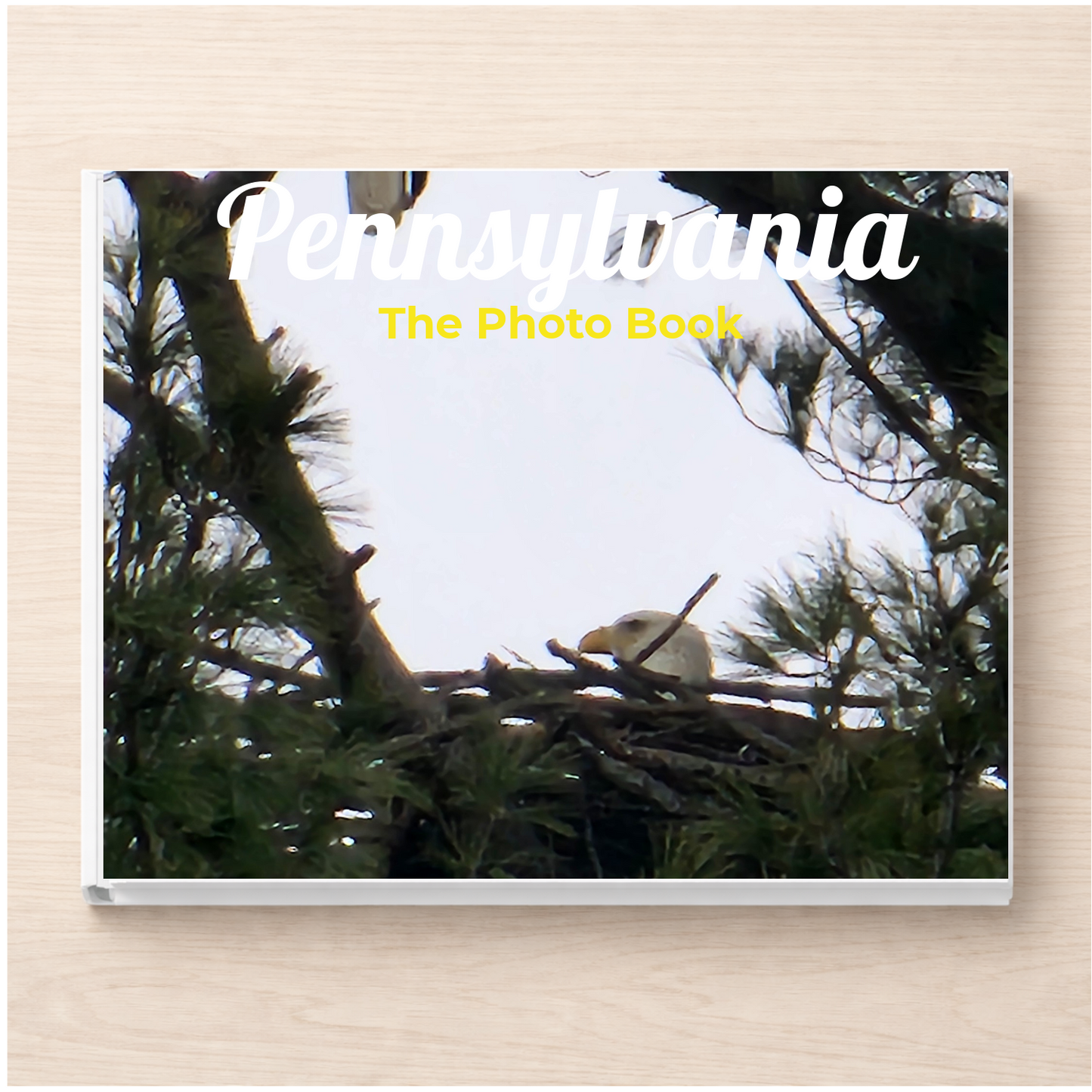 Pennsylvania: The Photo Book