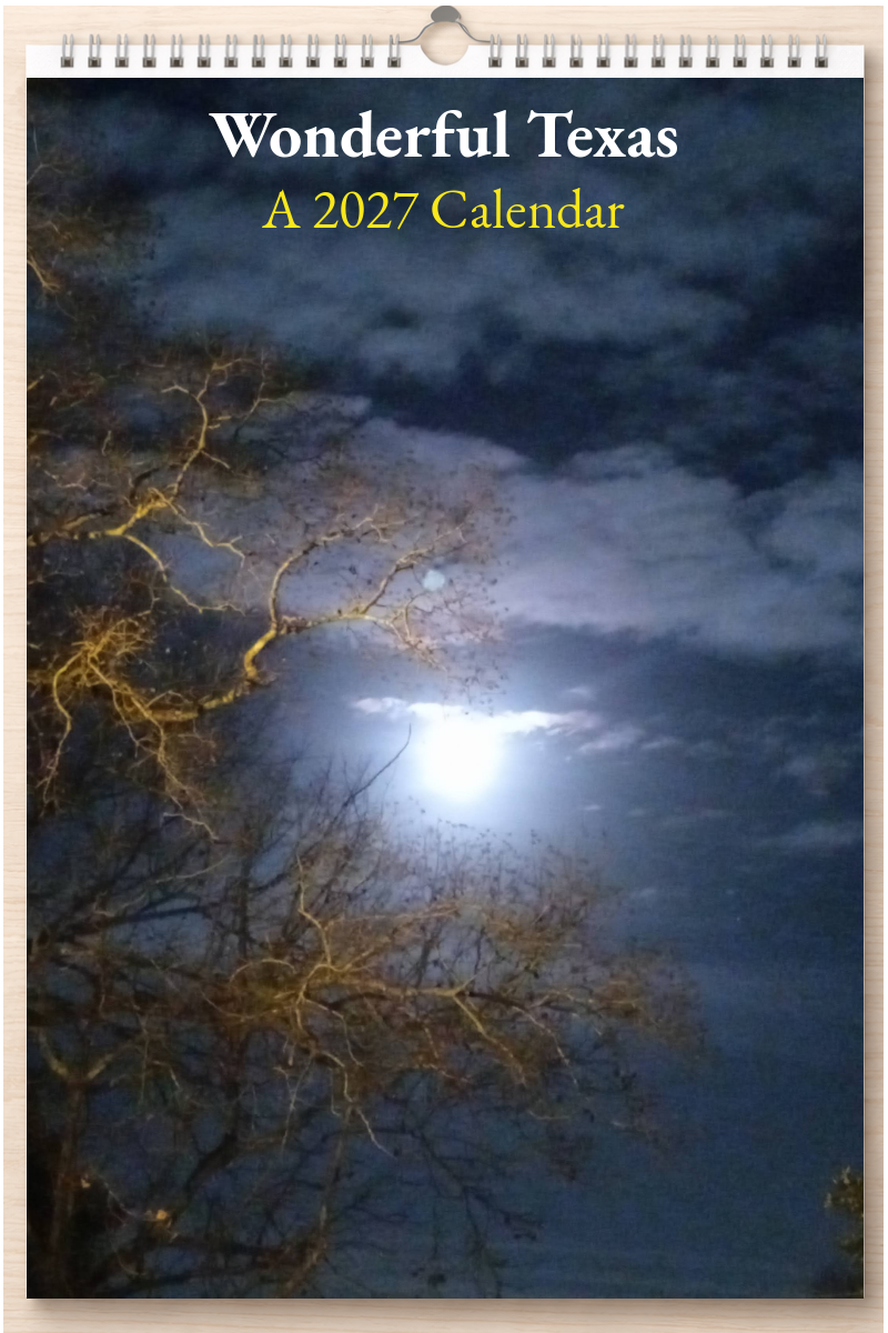 Wonderful Texas: A 2027 Calendar