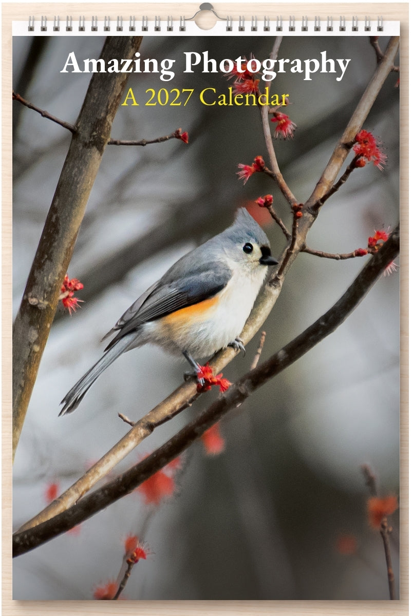 Amazing Photography: A 2027 Calendar