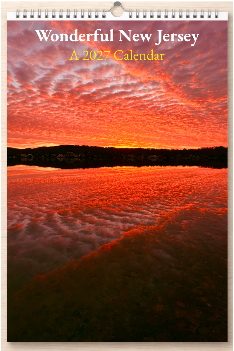 Wonderful New Jersey: A 2027 Calendar