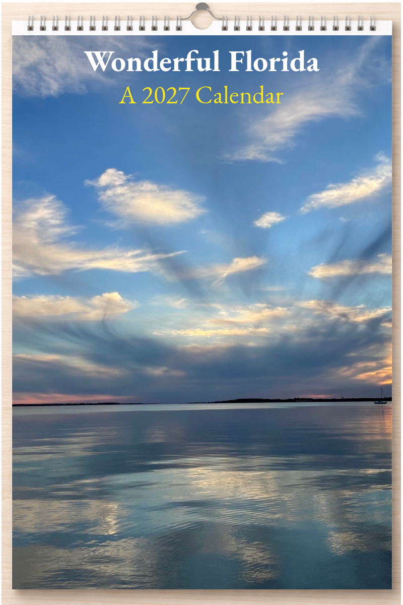 Wonderful Florida: A 2027 Calendar