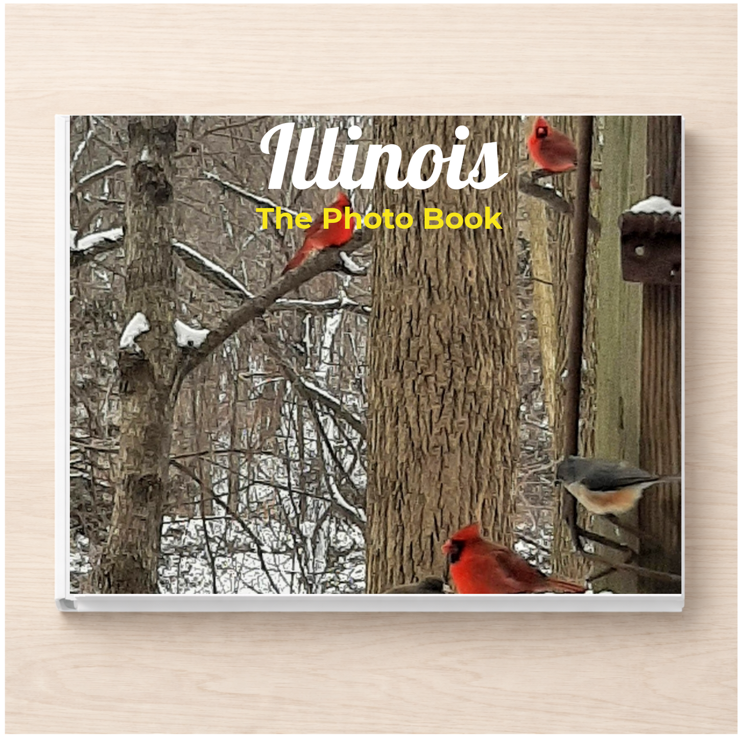 Illinois: The Photo Book