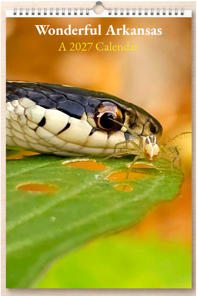 Wonderful Arkansas: A 2027 Calendar