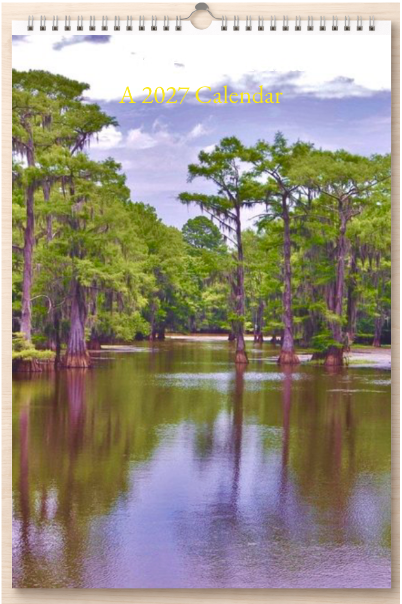 Wonderful Texas: A 2027 Calendar
