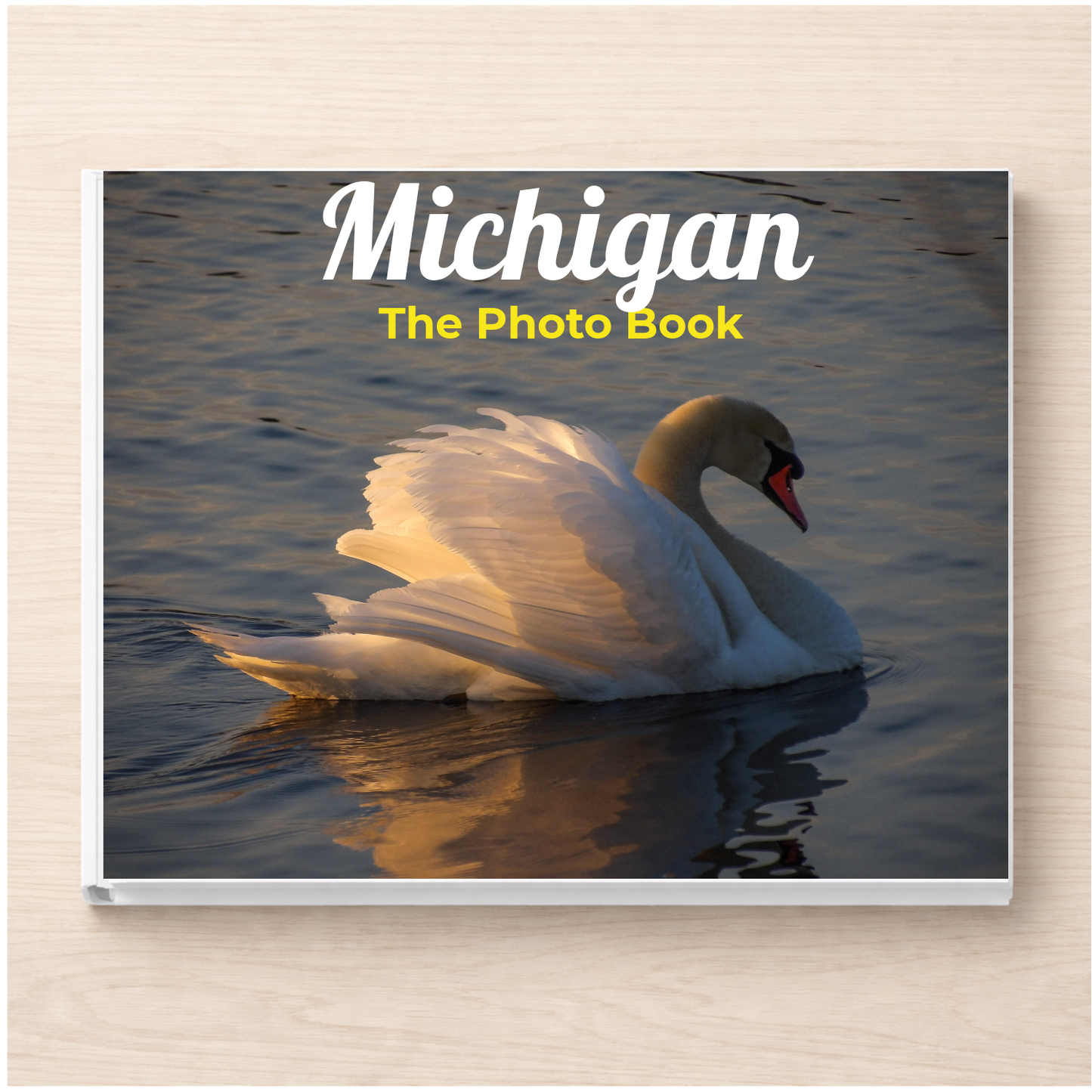 Michigan: The Photo Book