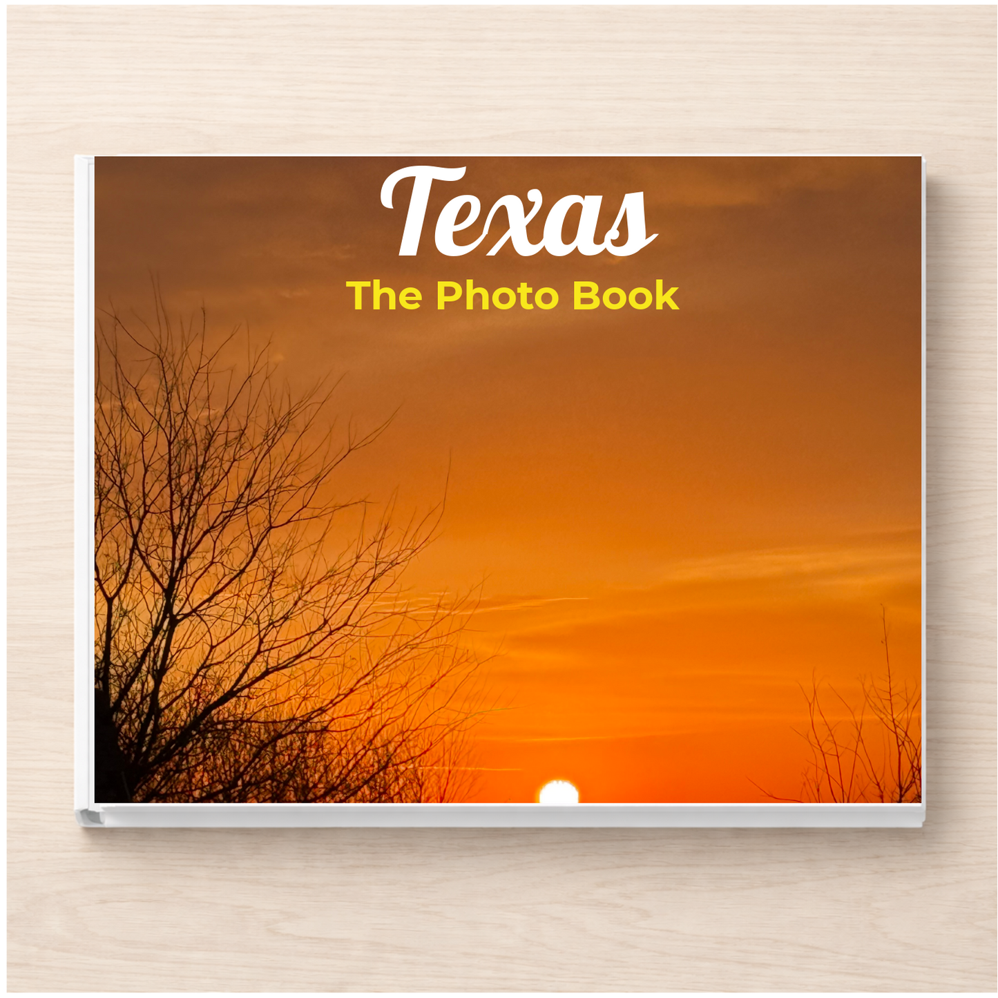 Texas: The Photo Book