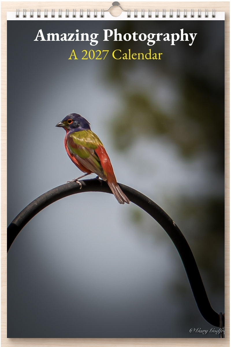 Amazing Photography: A 2027 Calendar