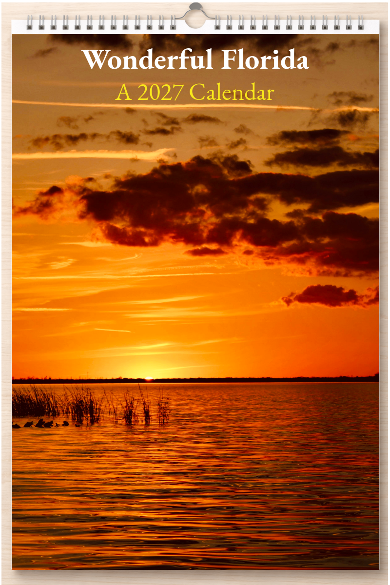 Wonderful Florida: A 2027 Calendar