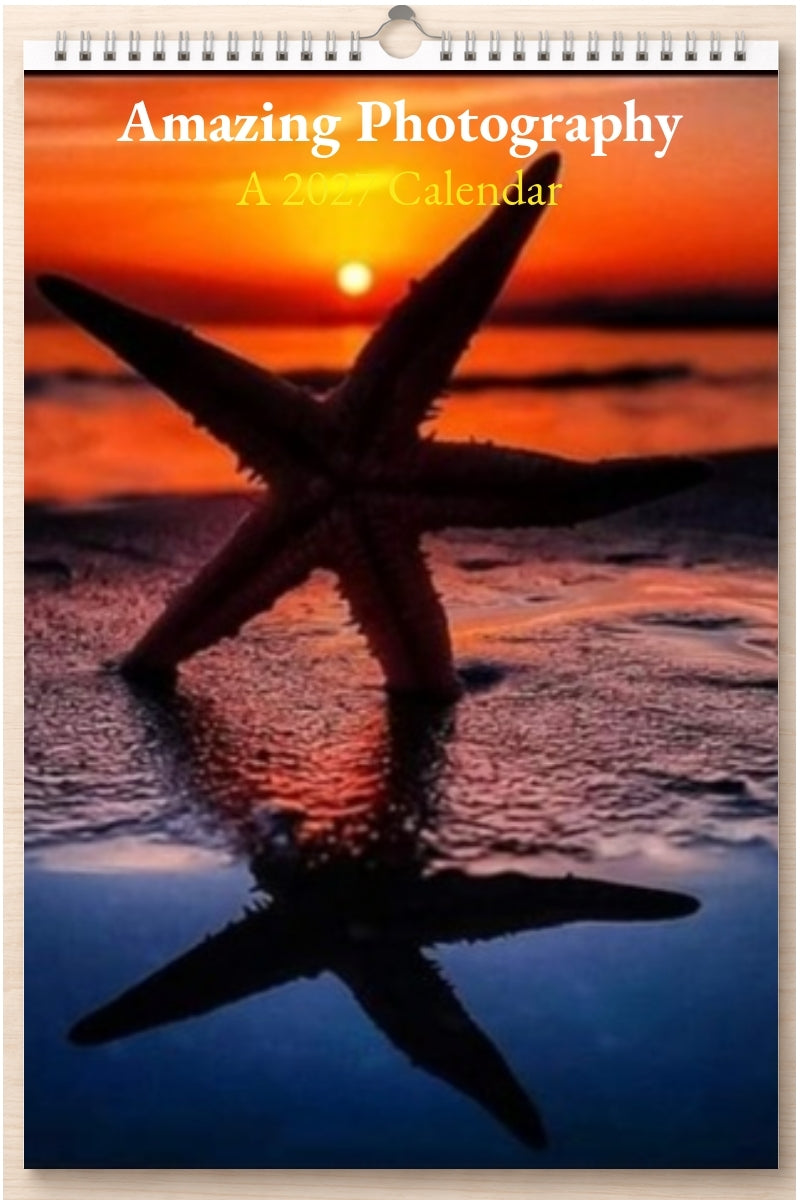 Amazing Photography: A 2027 Calendar